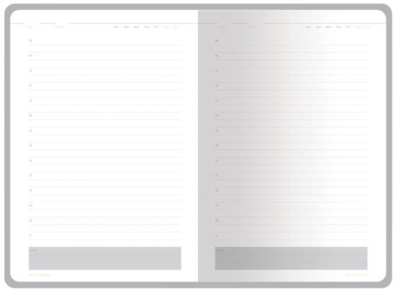 Ежедневник недатированный А5 «Mercury»